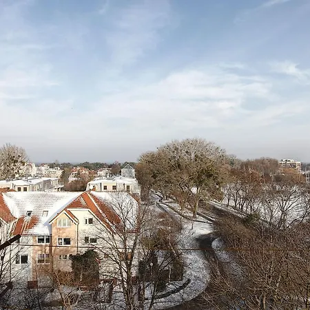 Sopockie - Mewa * Sopot